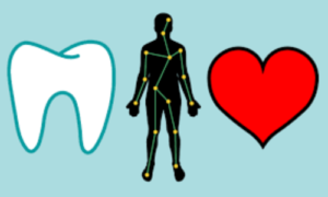 However, emerging research suggests heart health is related to oral health. This in-depth article will explore the intricate relationship...