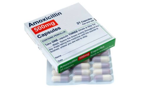 does amoxicillin help wounds heal faster